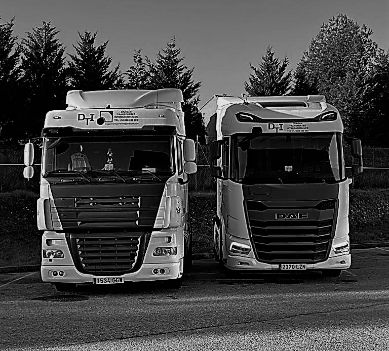 Imagen de Dragan Transportes Internacionales S.l.