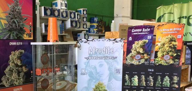 Imagen de Green City Center Grow Shop & Cbd Shop