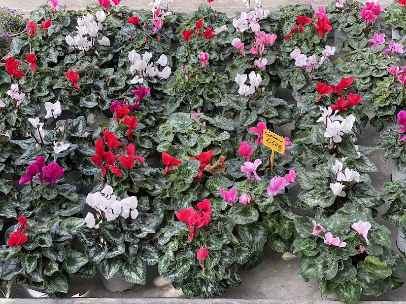 Imagen de Horticultura y Jardinería C. Méndez