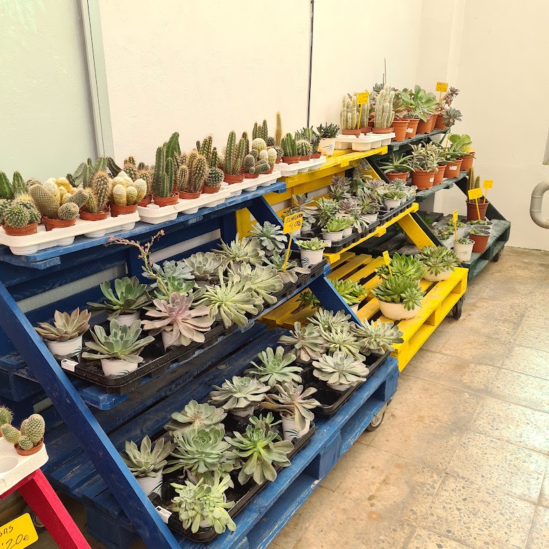 Imagen de Horticultura y Jardinería C. Méndez