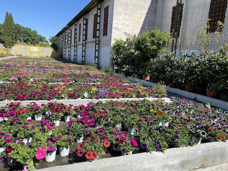Imagen de Horticultura y Jardinería C. Méndez
