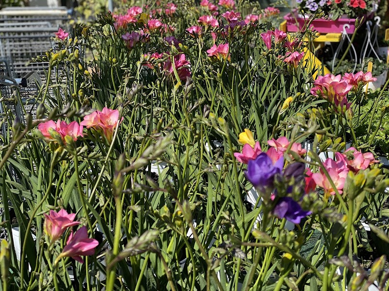 Imagen de Horticultura y Jardinería C. Méndez