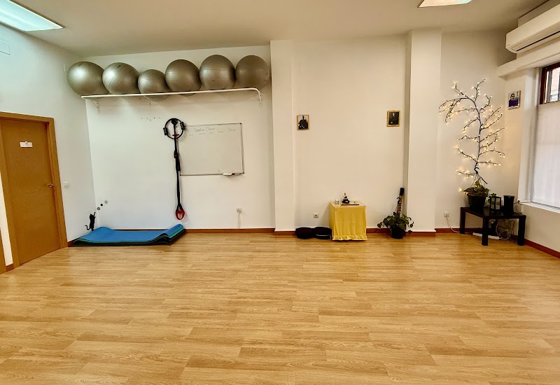 Imagen de Meissa Bienestar Osteopatía – Alcalá