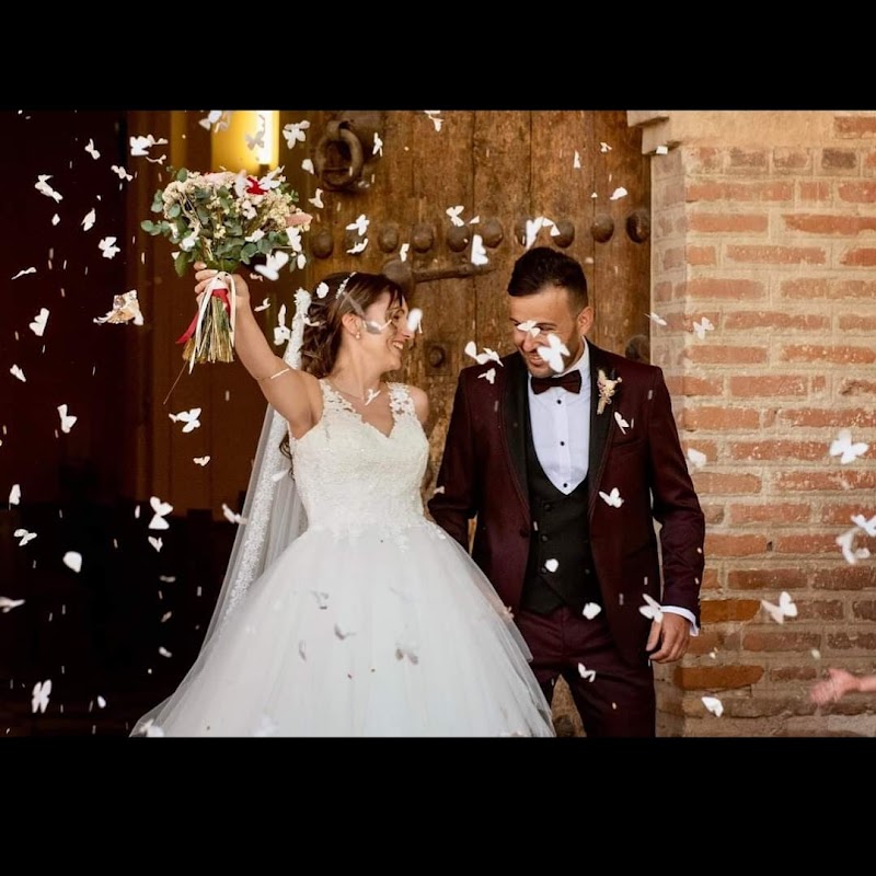 Imagen de La Boda Que Deseas