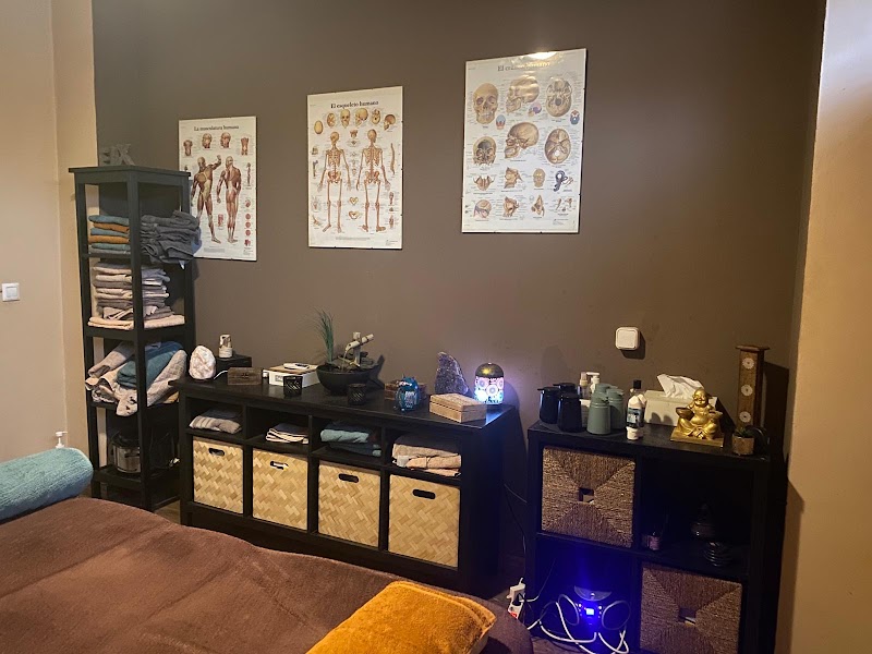 Imagen de Centro de Masaje y Osteopatia Osteotino
