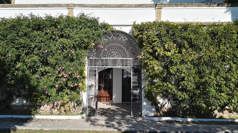 Imagen de Centro de Desintoxicación y Adicciones San Cayetano | Instituto Noa