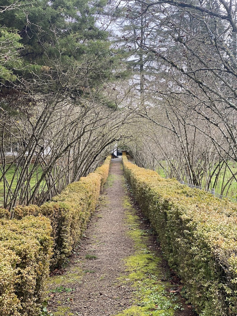 Imagen de Mindfulness y Meditación Sevilla (nacho Luque)