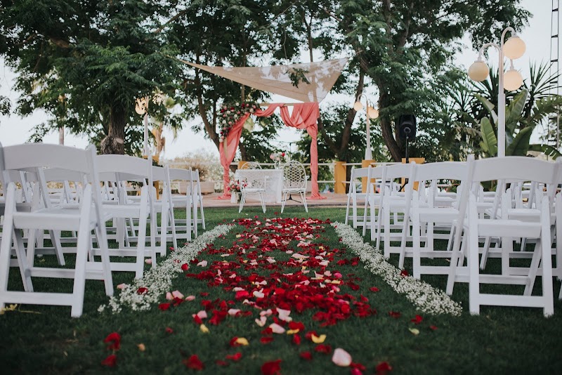 Imagen de Un Lunes 28