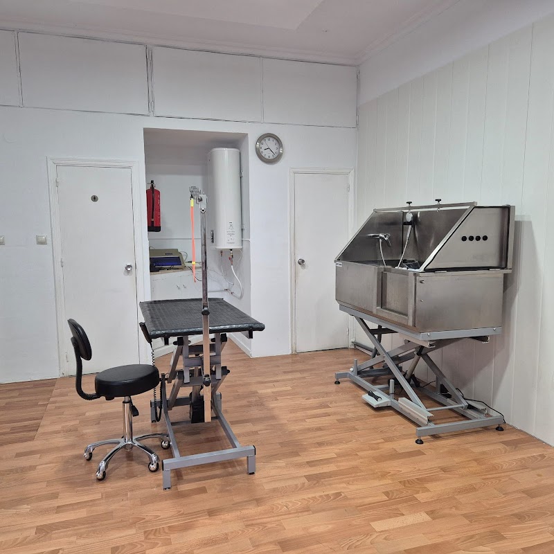 Imagen de Huellas Peluquería Canina y Felina