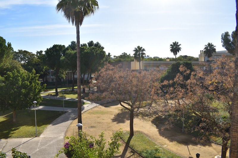 Imagen de Francisco Javier García Suárez – Psicólogo en Mairena del Aljarafe