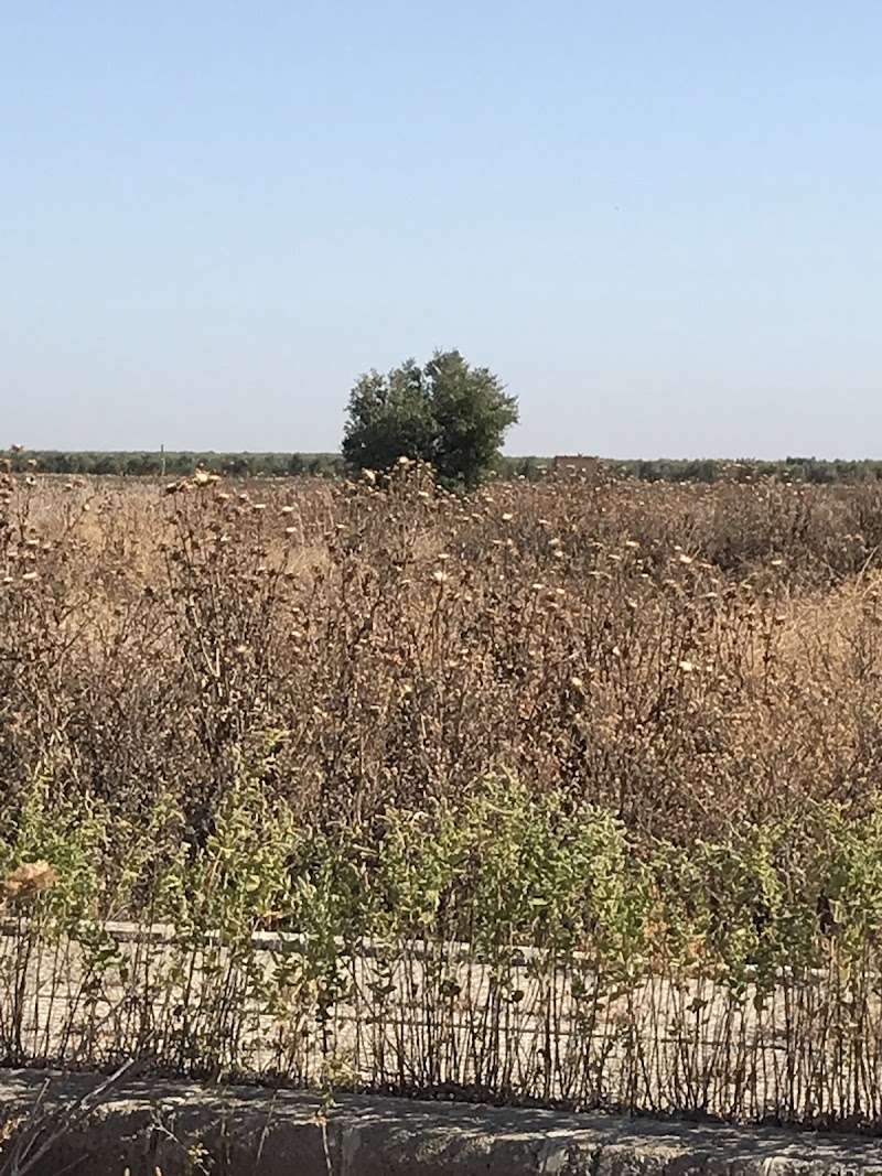 Imagen representativa de la localización