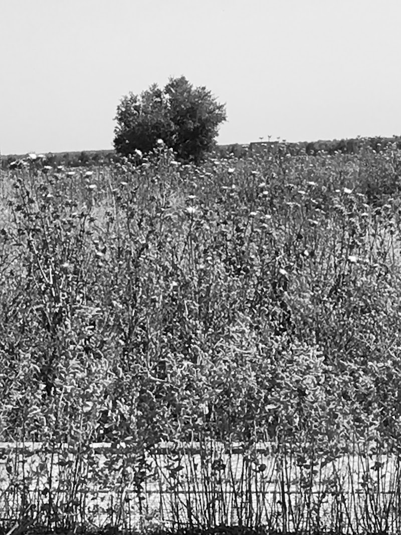 Imagen representativa de la localización