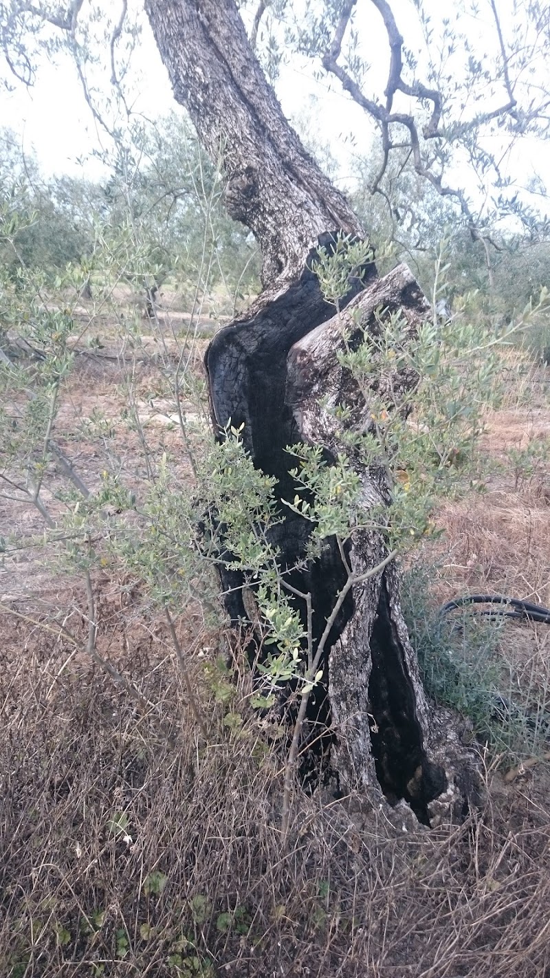 Imagen representativa de la localización