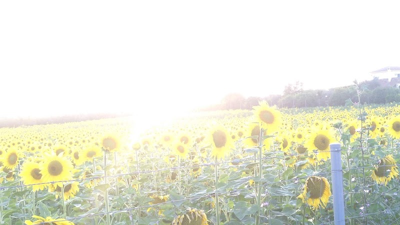 Imagen representativa de la localización