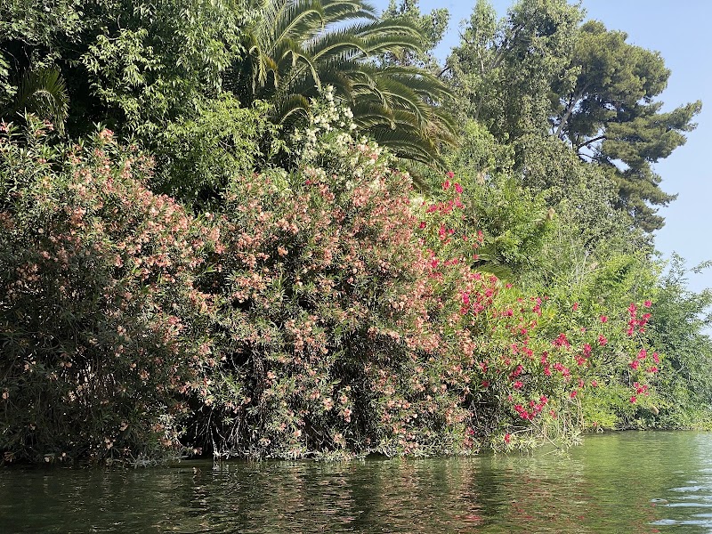 Imagen de Club Deportivo Triana Sport Sevilla