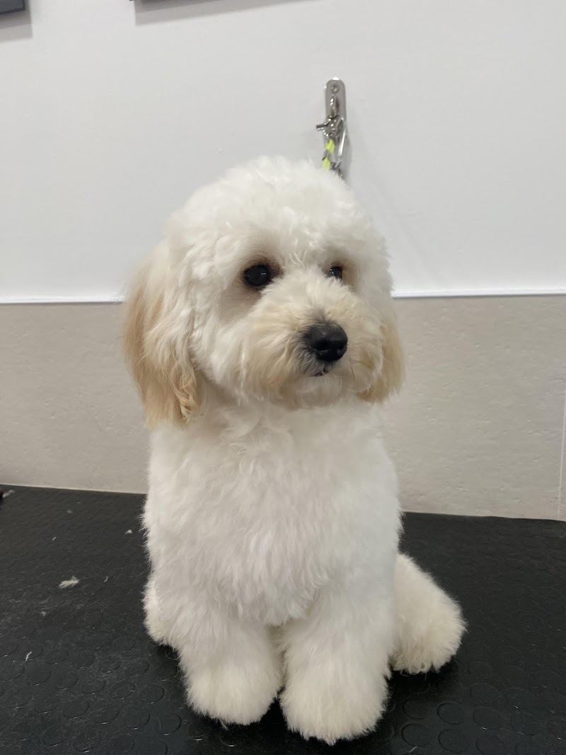 Imagen de Carmen Conesa