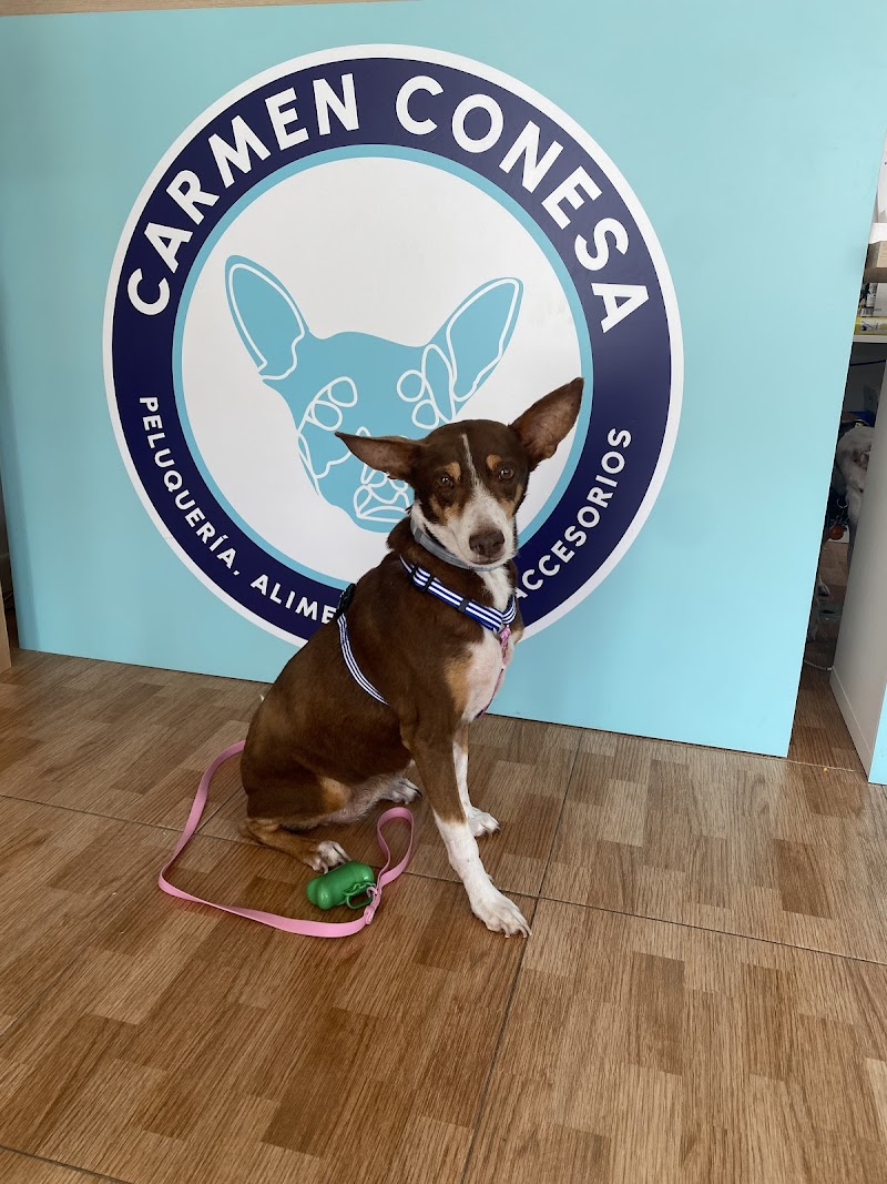 Imagen de Carmen Conesa