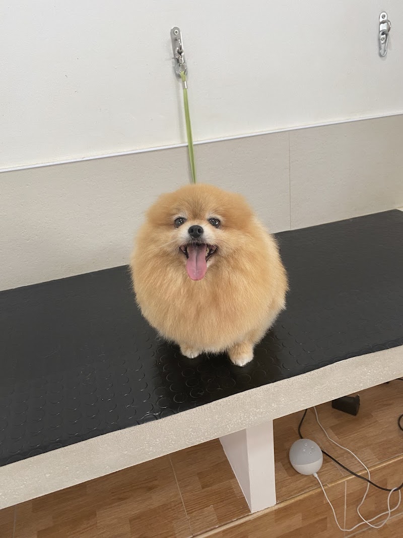 Imagen de Carmen Conesa