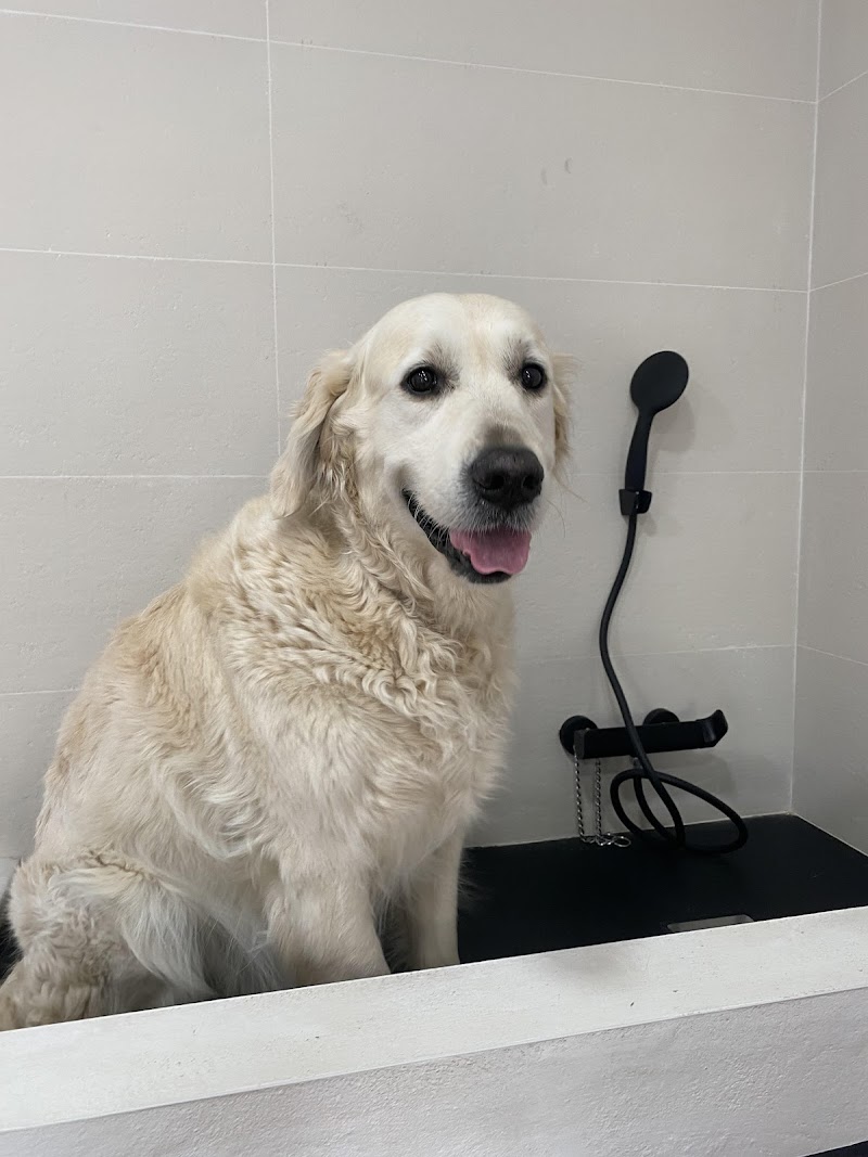 Imagen de Carmen Conesa