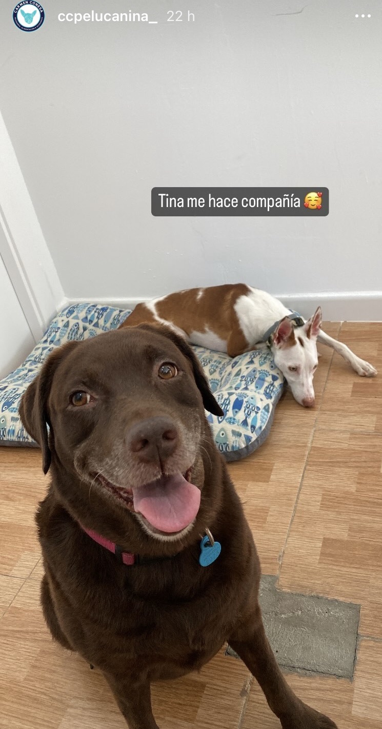 Imagen de Carmen Conesa