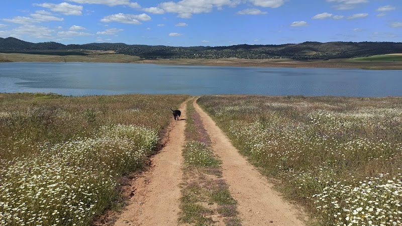 Imagen de negocio en Camping en Provincia de Sevilla