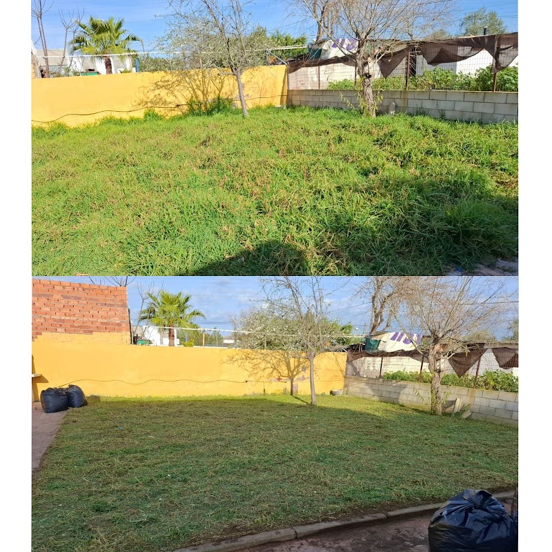 Imagen de negocio en Jardinería en Provincia de Sevilla