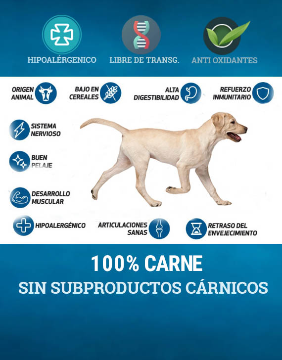 Imagen de Taknara Tienda Animal