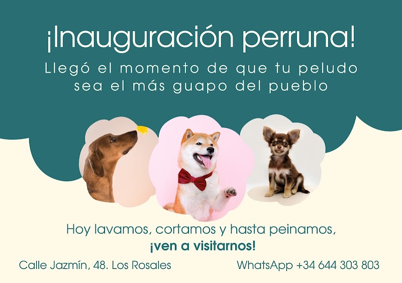 Imagen de Patitas Felices – Peluquería Canina