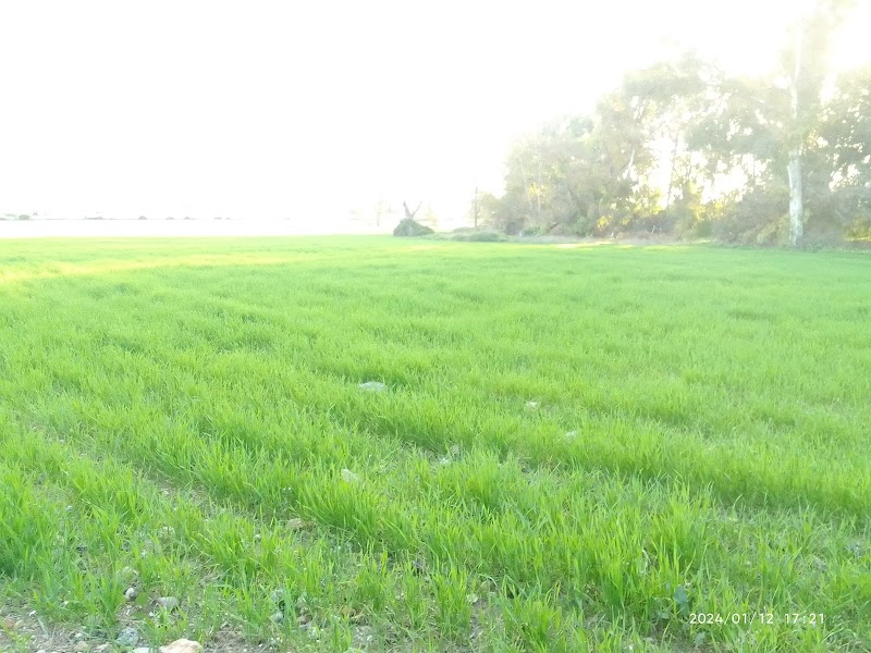 Imagen de Instituto Noa – Salud Mental – C.t. Pinogrande (centro Privado)