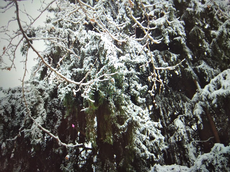 Imagen de Zona de Ejercicio Al Aire Libre