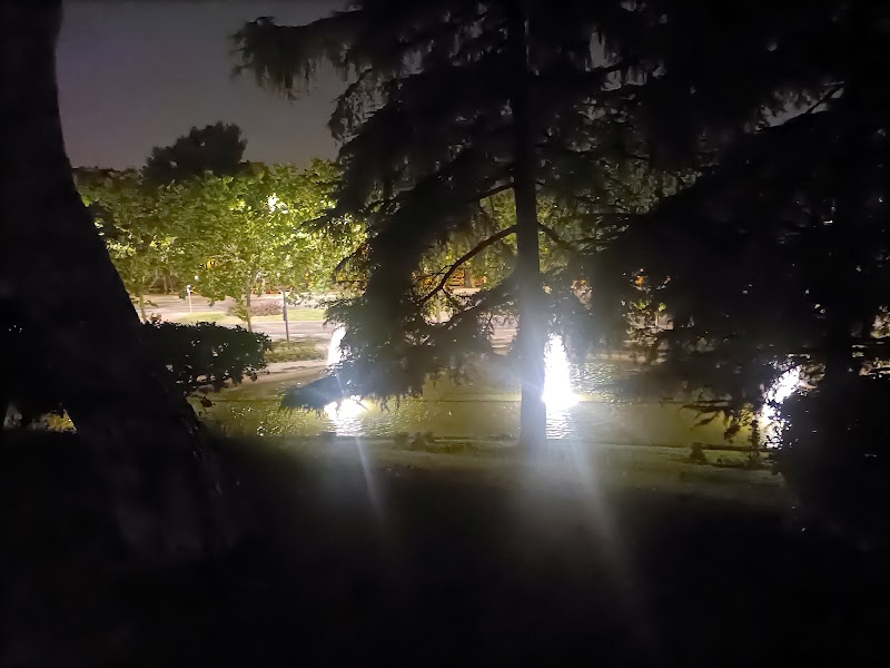 Imagen de Zona de Ejercicio Al Aire Libre