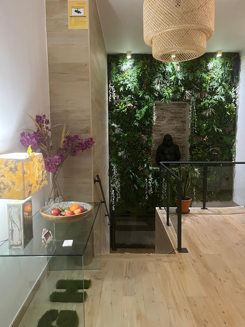 Imagen de Garden House Madrid