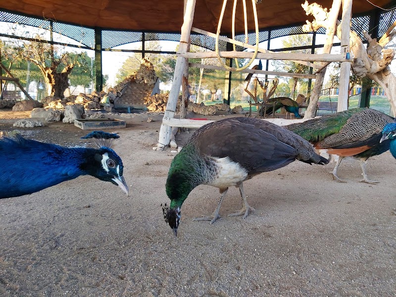 Imagen representativa de la localización