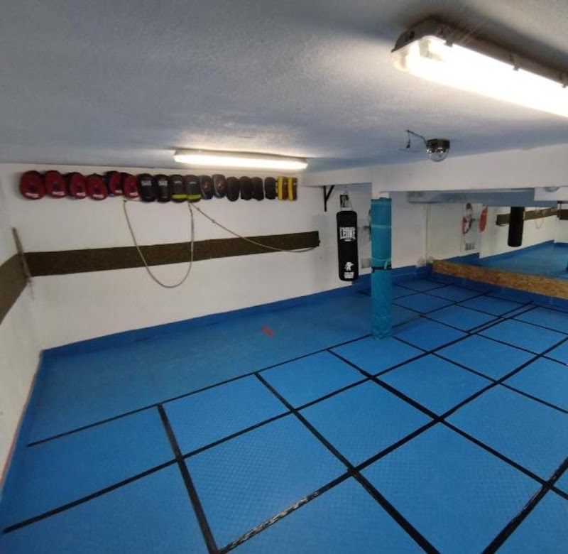 Imagen de Viet-boxing