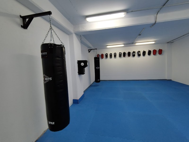 Imagen de Viet-boxing