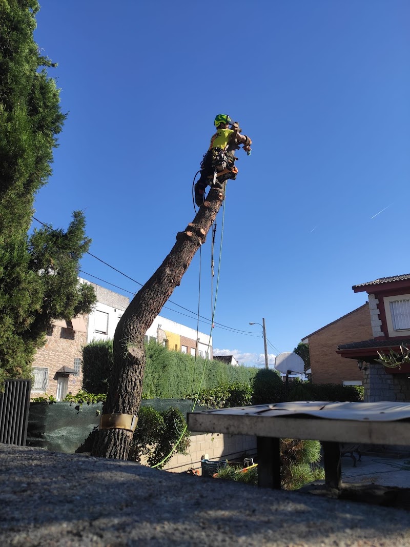 Imagen representativa de la localización