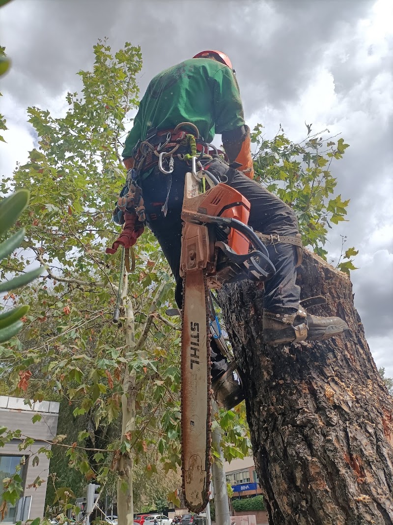 Imagen representativa de la localización