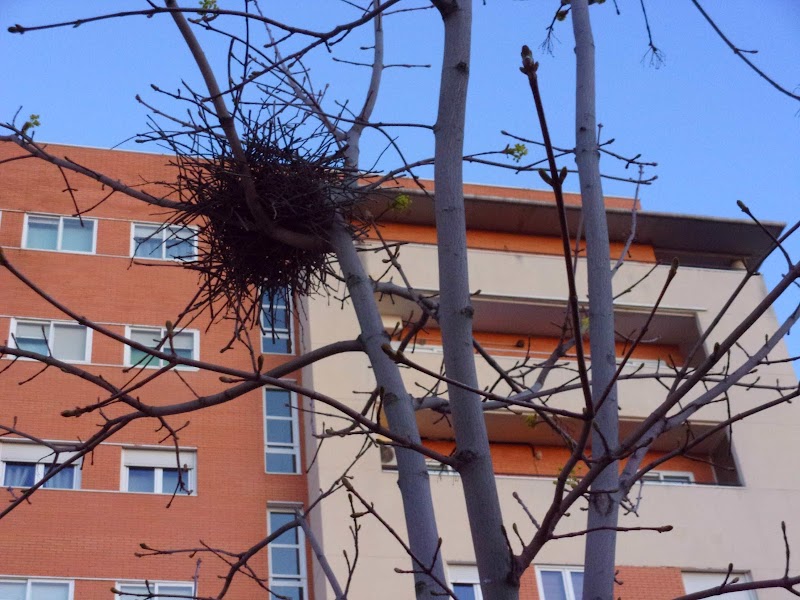 Imagen representativa de la localización