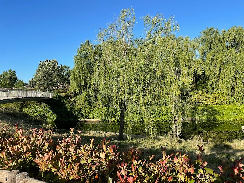 Imagen representativa de la localización