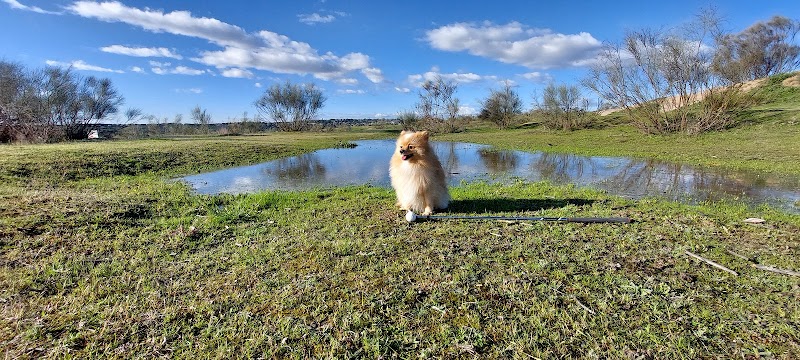 Imagen representativa de la localización