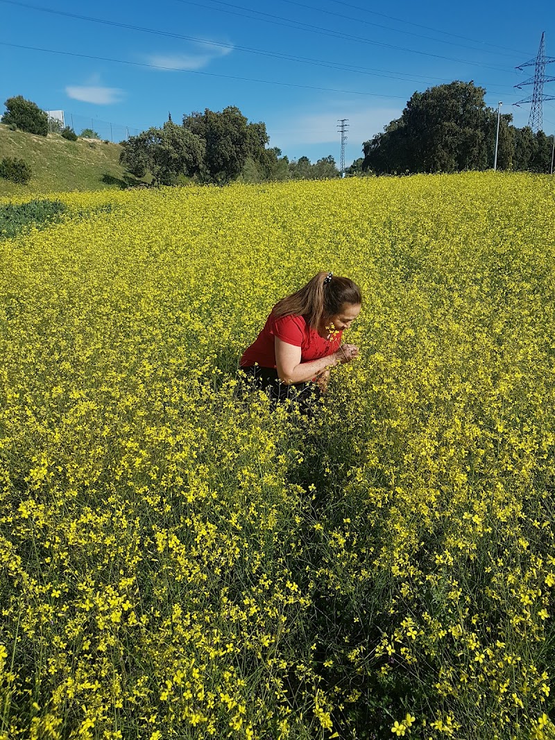 Imagen representativa de la localización