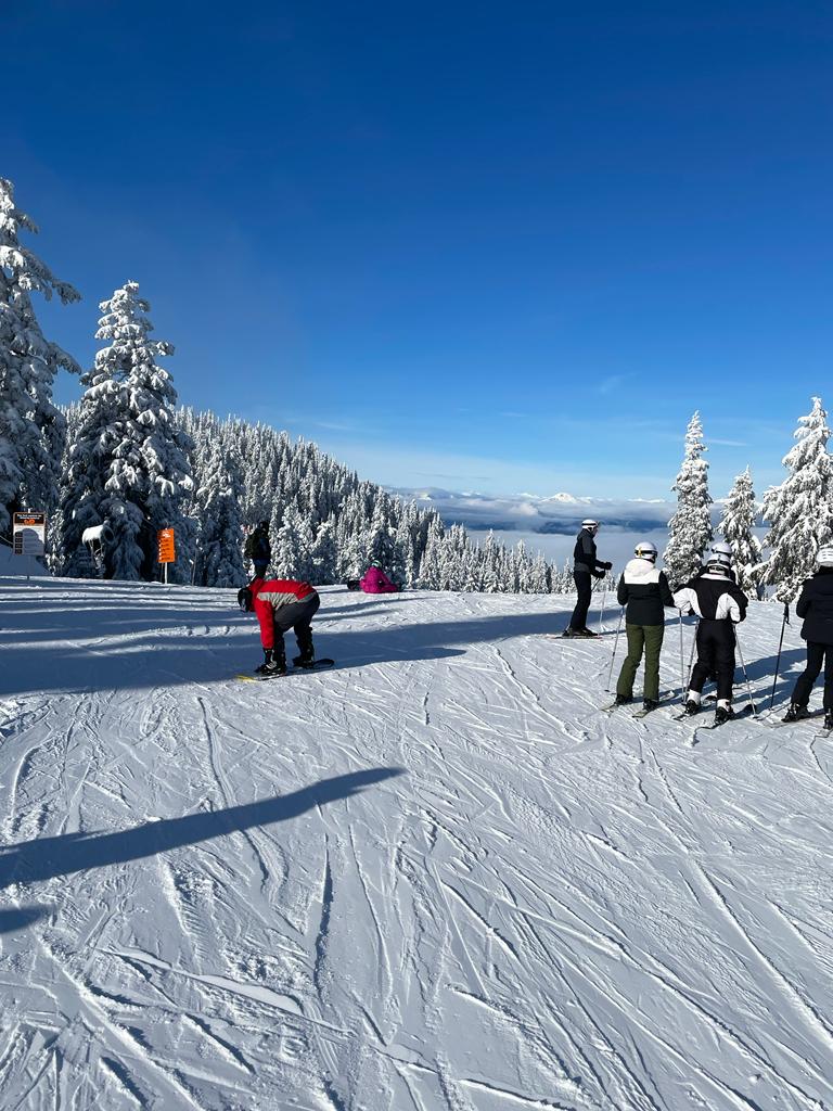 Imagen de International Academic Programs – Cursos en el Extranjero