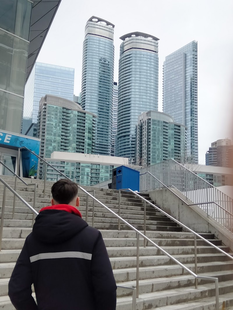 Imagen de International Academic Programs – Cursos en el Extranjero