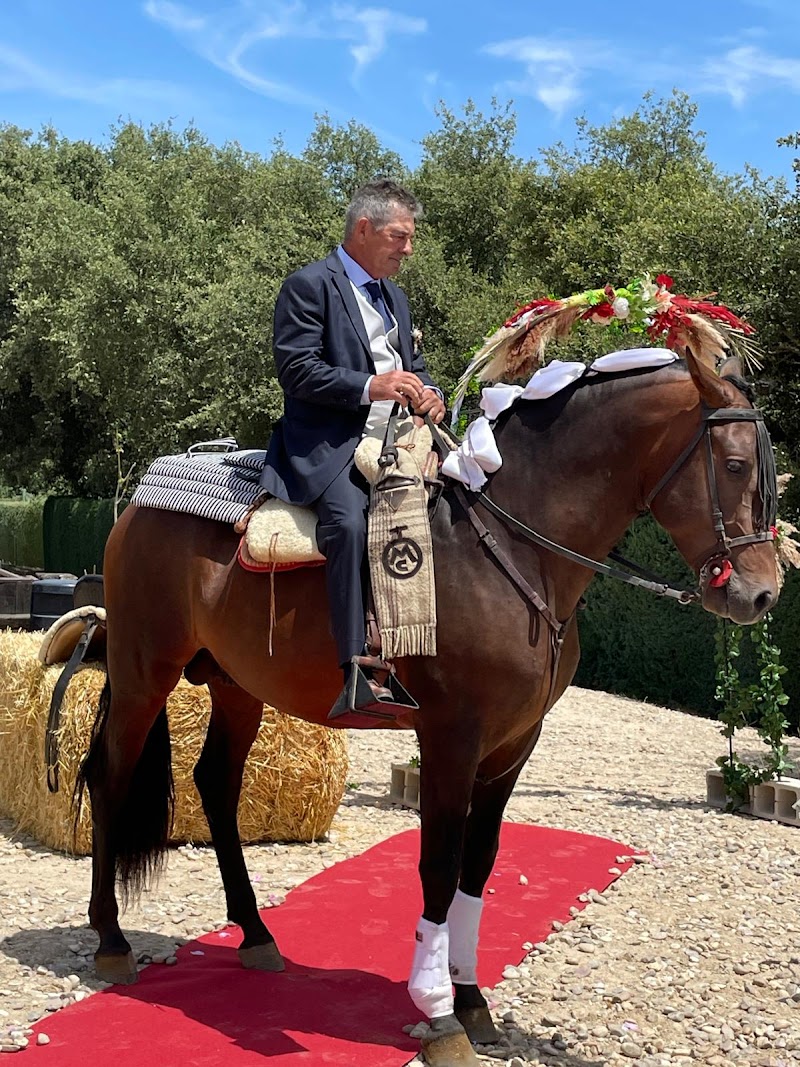 Imagen de Esencia de Boda