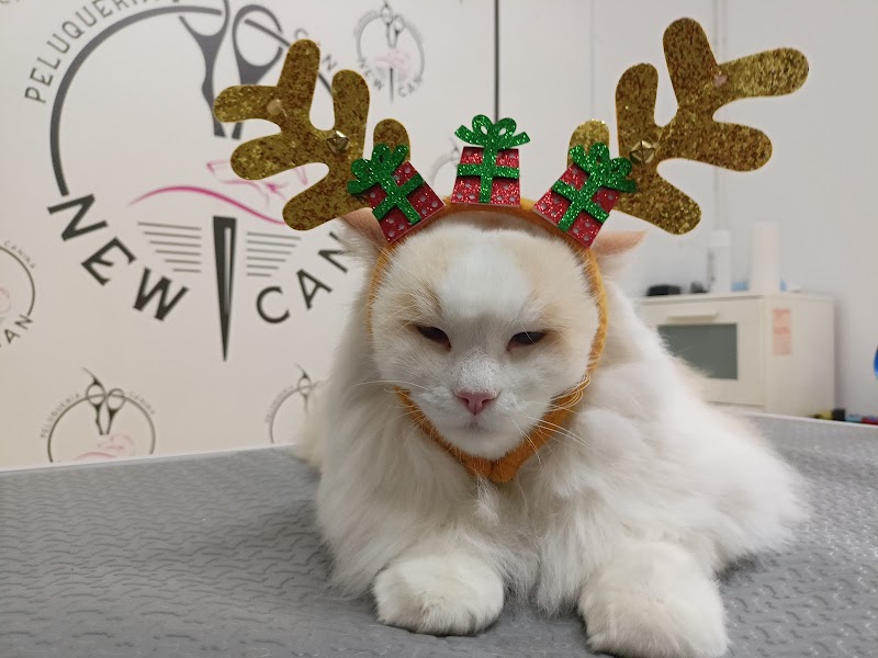 Imagen de Peluqueria Canina y Felina New Can