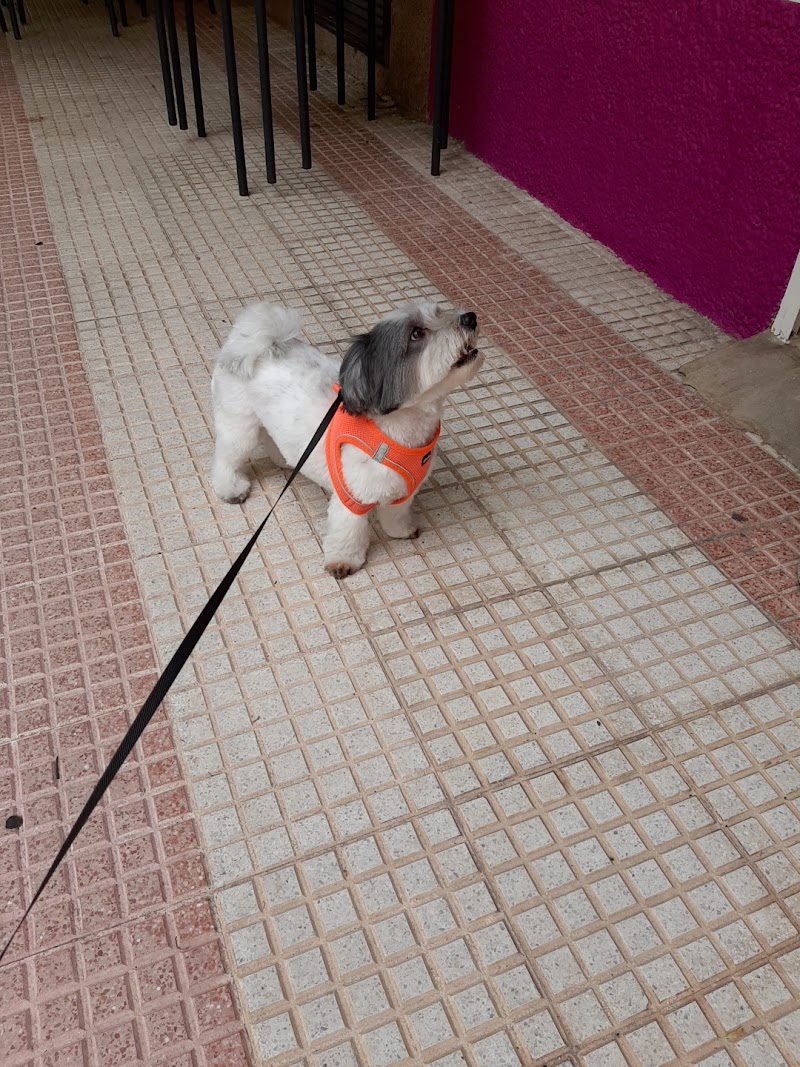 Imagen de Peluqueria Canina y Felina New Can