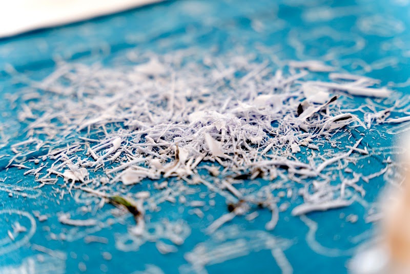 Imagen de Galería de Arte – Talleres Artísticos las Rozas