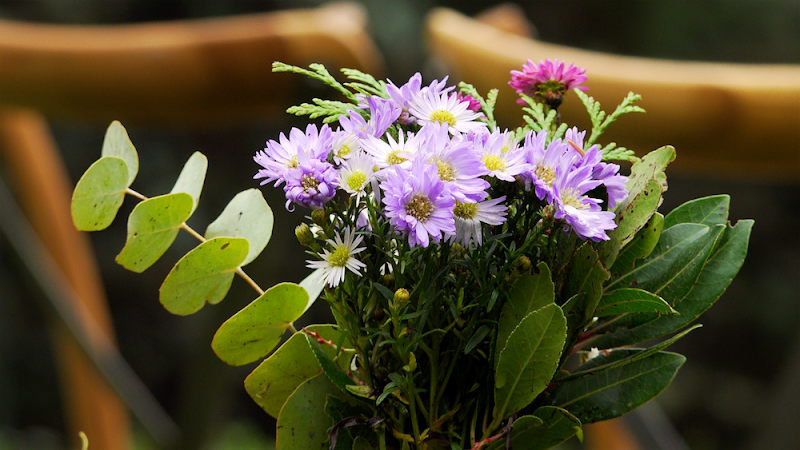 Imagen de Videógrafo en Madrid