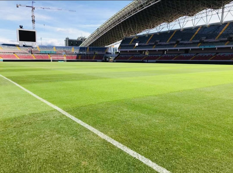 Imagen de Living Art