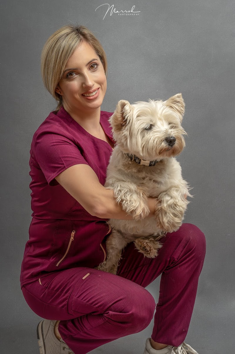 Imagen de Foto Corporativa Estudio